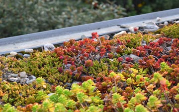 the cost of North Weston green roof installation