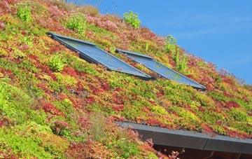North Weston living roof systems